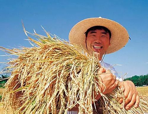 学习大国：习近平将携何种思想载入中共史册