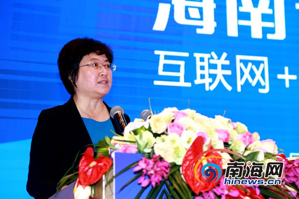 海南省副省长何西庆在海南省互联网大会中致辞(南海网记者陈望摄)