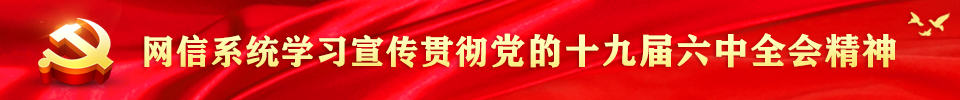 网信系统学习宣传贯彻党的十九届六中全会精神