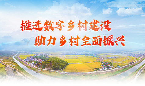 《推进数字乡村建设 助力乡村全面振兴》专题
