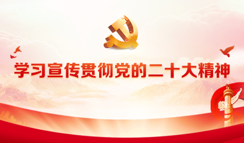 《学习宣传贯彻党的二十大精神》专题