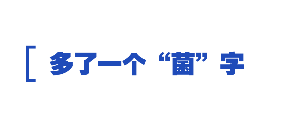 b体育时政特稿丨的“大食物观”(图1)