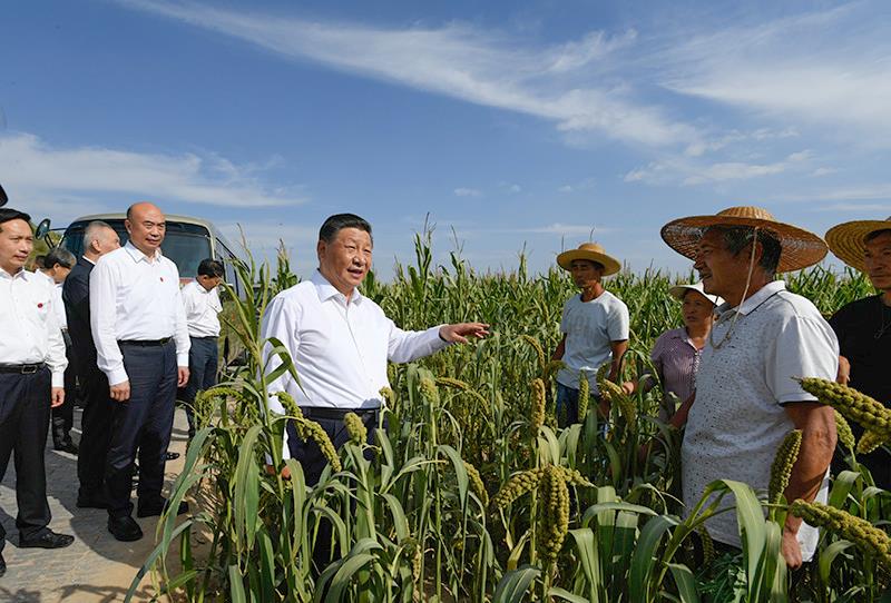 b体育时政特稿丨的“大食物观”(图5)
