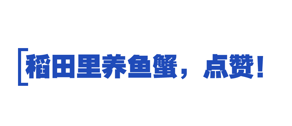 b体育时政特稿丨的“大食物观”(图6)