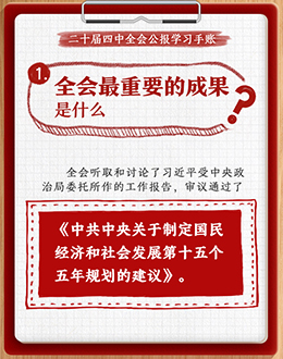 收藏!党的二十届四中全会公报学习手账