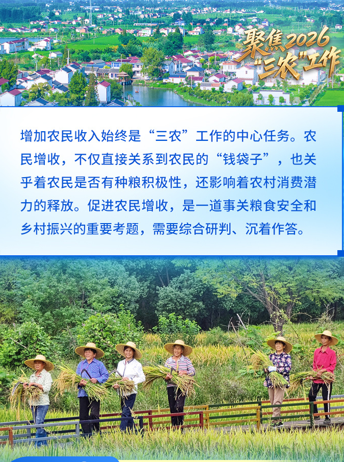 理响中国·聚焦2026“三农”工作丨积极促进农民稳定增收 中央一号文件这样强调