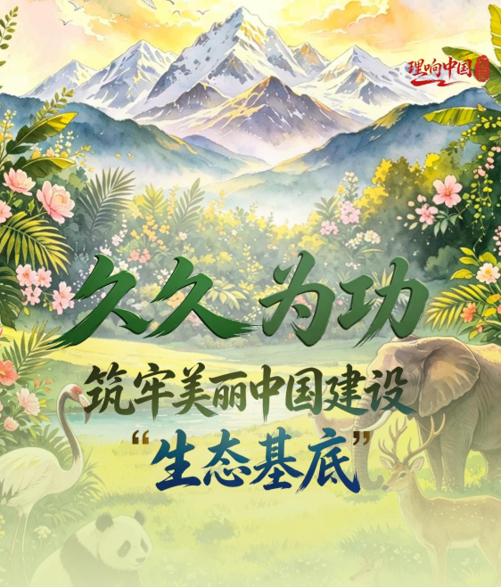理响中国·一笔一画|久久为功,筑牢美丽中国建设“生态基底”