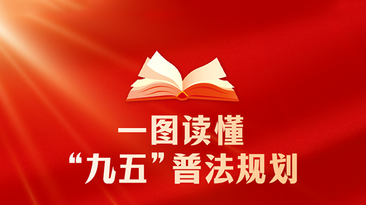 简版来了!一图读懂法治宣传教育“九五”规划