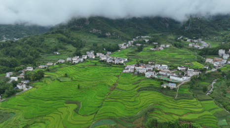 理响中国·质胜新时代丨让绿水青山生长出“绿色算法”