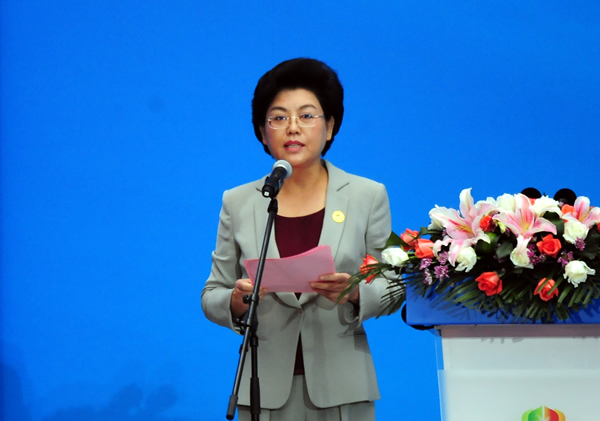 宁夏回族自治区主席刘慧主持2015中国-阿拉伯国家博览会开幕大会