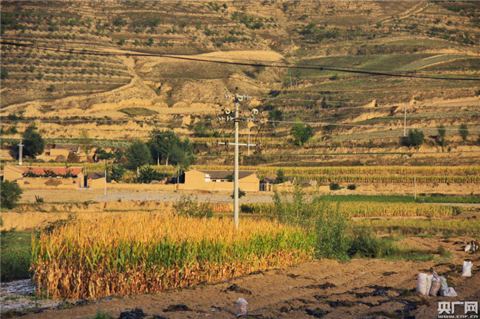 甘肃省白银市会宁县韩家集镇周家湾村(央广网 张佳琪摄)