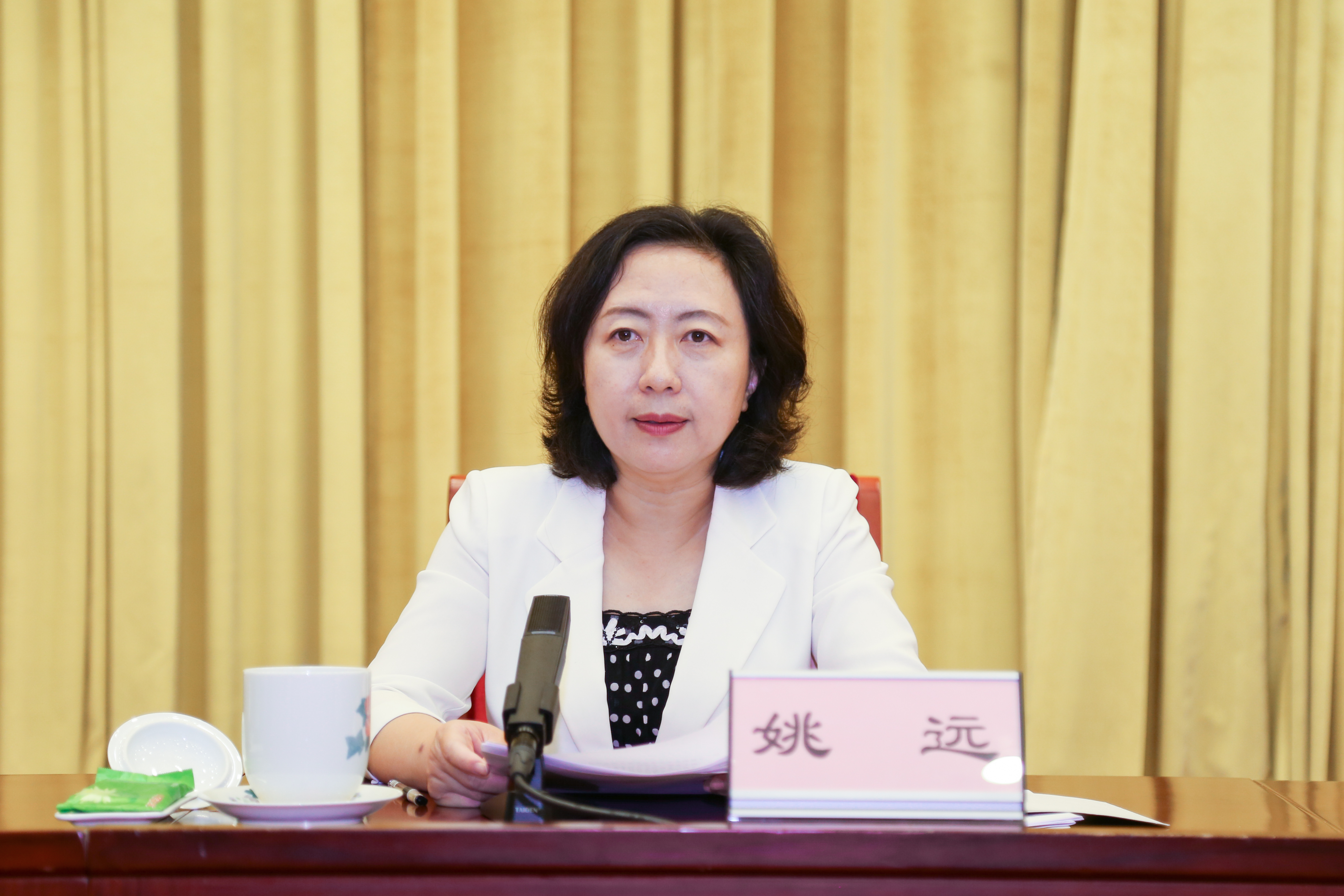 9月7日,中央组织部组织二局负责同志在全国互联网企业党建工作推进会