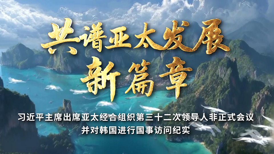 时政纪录片丨共谱亚太发展新篇章——习近平主席出席亚太经合组织第三十二次领导人非正式会议并对韩国进行国事访问纪实