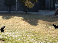 原来你也在这里