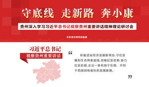 学习习近平总书记视察贵州重要讲话
