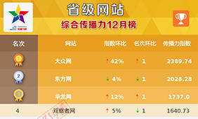 省级网站传播力12月榜发布