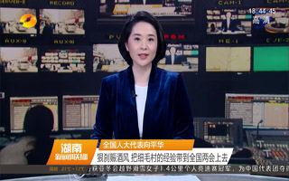 全国人大代表向平华：狠刹赈酒风 把细毛村的经验带到全国两会上去