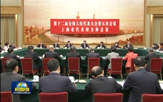 习近平参加上海代表团审议