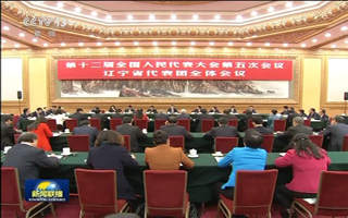 习近平参加辽宁代表团审议