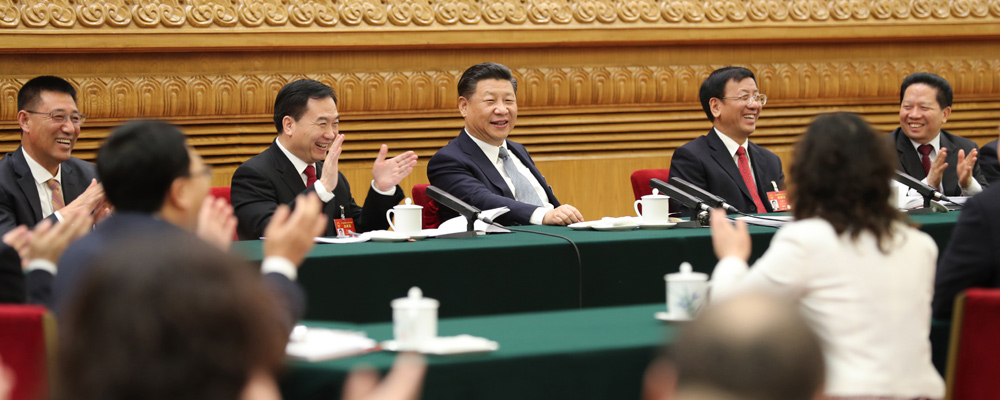 习近平参加辽宁代表团审议