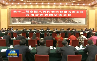 习近平参加四川代表团审议