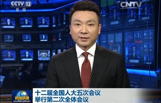 十二届全国人大五次会议第二次全体会议