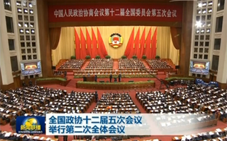 全国政协十二届五次会议举行第二次全体会议