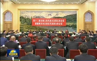 习近平参加新疆代表团审议
