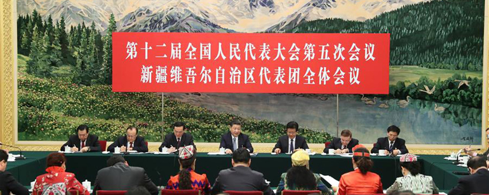 习近平参加新疆代表团审议