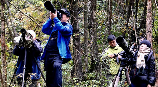 摄影界网络名人"走进佛坪看扶贫" 助力扶贫攻坚战