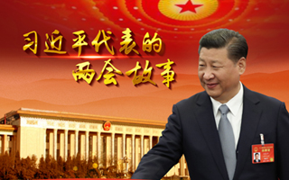 习近平代表的两会故事