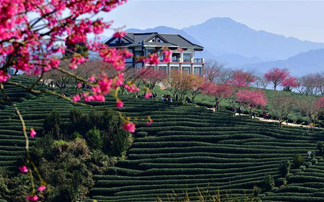 乡村振兴好风景