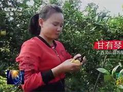 致敬新时代的新农人“巧妇9妹”甘有琴